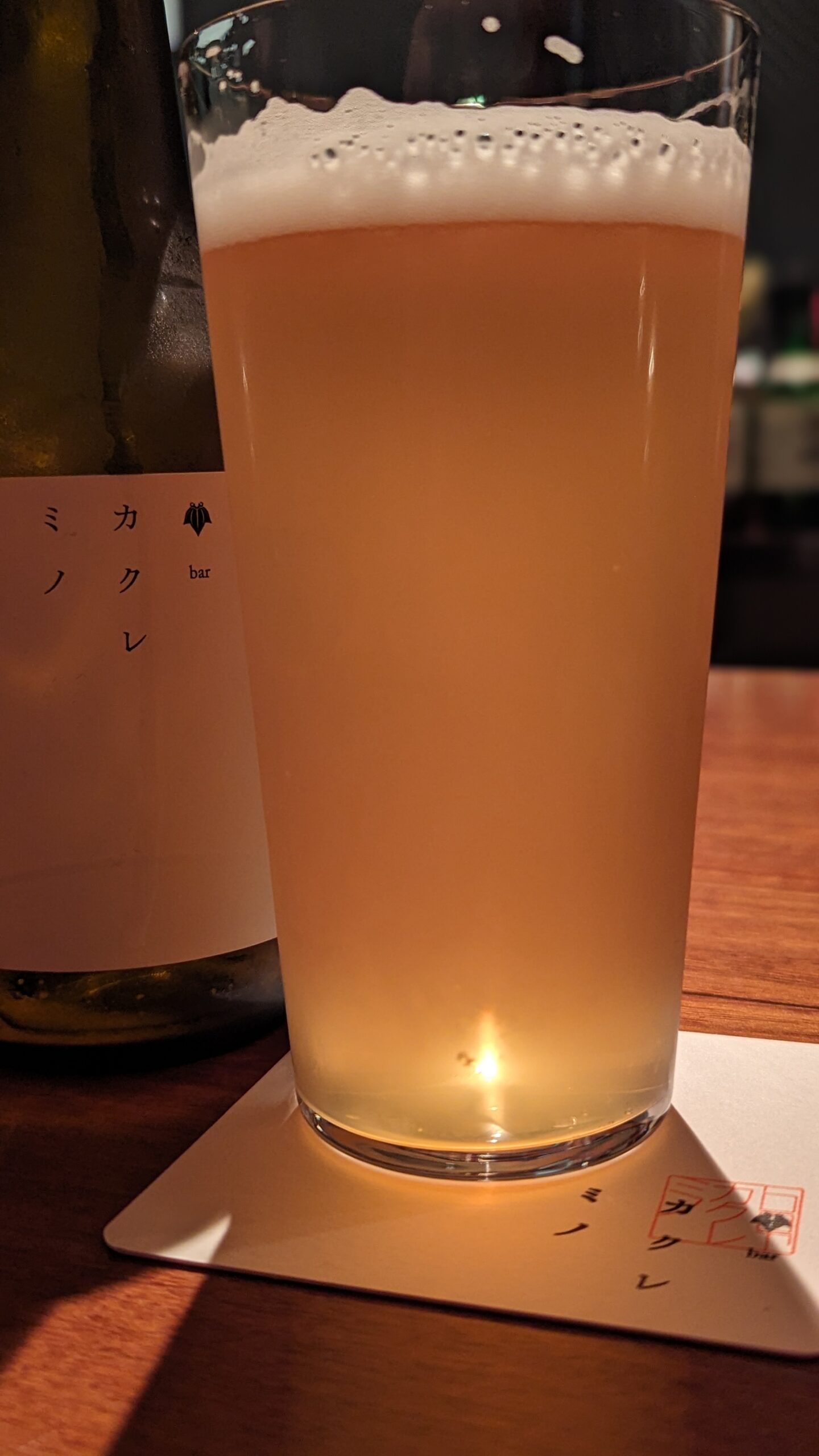 【福岡 平尾】カクレミノ